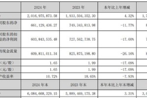 敷尔佳2024财报：营收增4.32%净利降11.77%，重营销轻研发隐忧