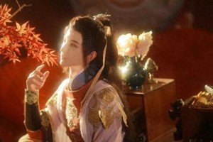 精选图片集锦：视觉盛宴一览